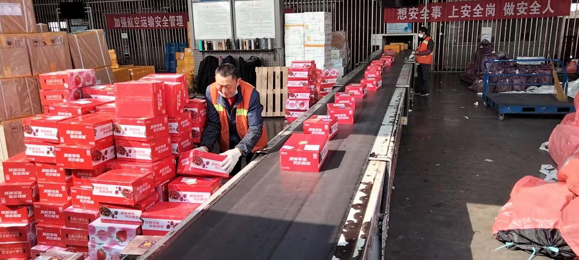 成都航空貨運公司哪家好