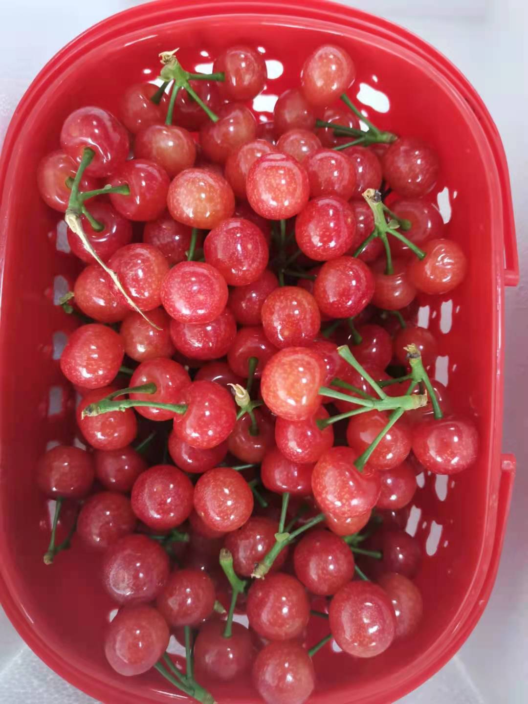 成都雙流機場櫻桃航空托運當日達-限時達空運物流公司