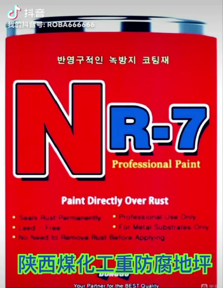 NR-7氟硅防腐涂料（單組份）